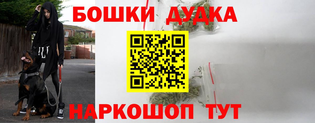 Каннабис сатива Тобольск